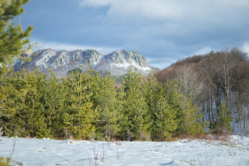 Bulgaria , Rhodope mountains the blue rocks close to Belintash,  Winter view