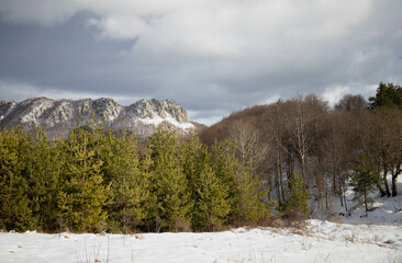Bulgaria , Rhodope mountains the blue rocks close to Belintash,  Winter view