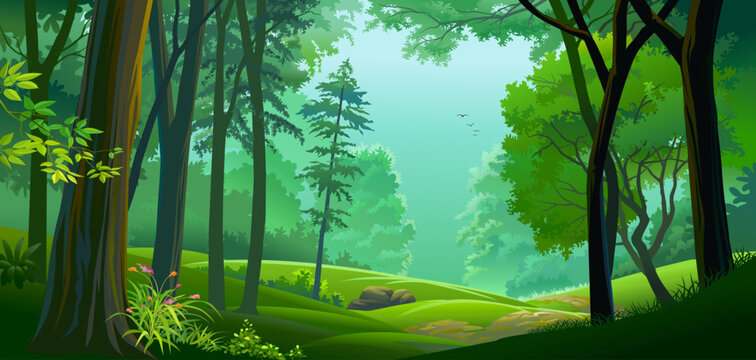 Deep green forest with lush plants, grass, and trees.