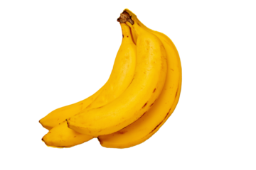 新鮮なバナナ切り抜き影あり