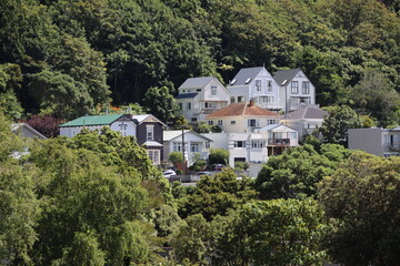Fototapeta na wymiar Houses in New Zealand's capital city of Wellington.