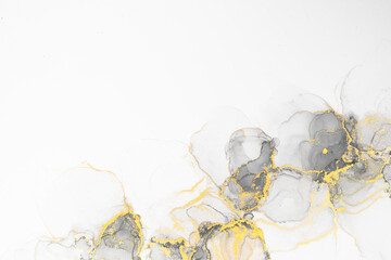 Marble ink abstract art from meticulous original painting abstract background . Painting was painted on high quality paper texture to create smooth marble background pattern of ombre alcohol ink . © InfiniteFlow
