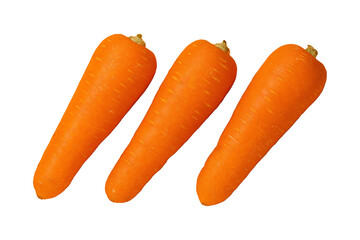 新鮮なニンジン切り抜き