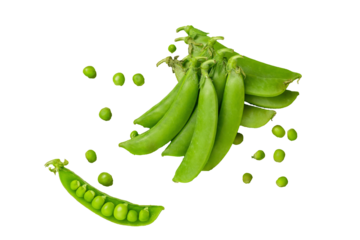 新鮮なスナップエンドウ切り抜き影あり