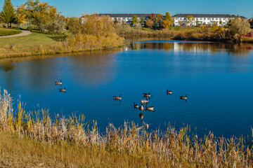 Trounce Pond in Saskatoon, Canada