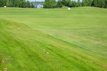 Green field against the background of forest and a blue sky.