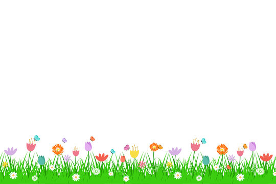 spring grass flowers and butterfly isolated on transparent background.	