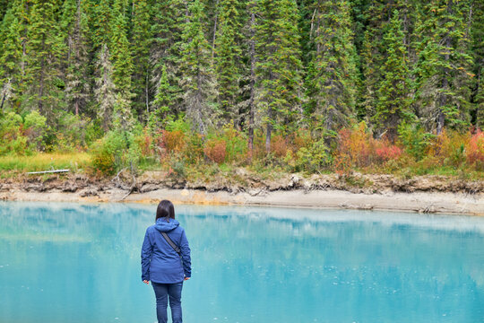 Rear view of woman looking at view while standing at Banff National Park