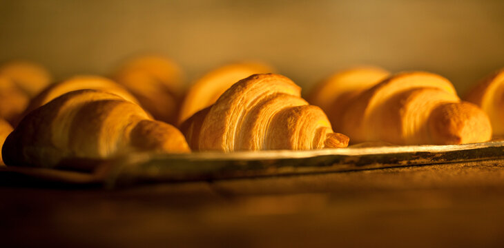 croissants baking in oven at a bakery