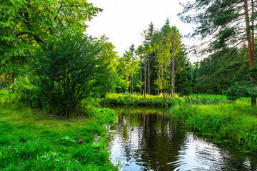 Fototapeta na wymiar Russia, Pushkin. Park on a sunny summer autumn day. Yellow foliage on tree, pond, green grass and blue sky.