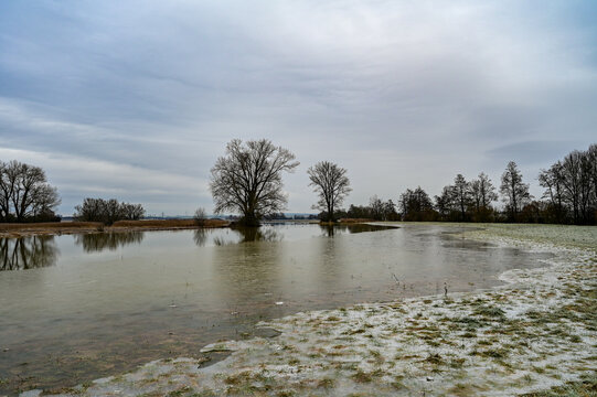 Eis auf dem Hochwasser im Landschaftsschutzgebiet Wernaue bei Ettleben im Winter, Werneck, Schweinfurt, Deutschland
