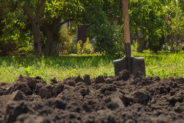 Garden shovel in ground loosen soil preparation. Farming garden work farm soil digging in garden...
