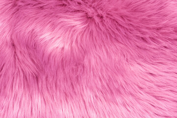 Pink fur texture top view. Pink sheepskin background. Fur pattern. Texture of pink shaggy fur. Wool texture. Sheep fur close up