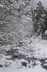 雪の積もった川