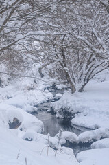 雪の積もった川