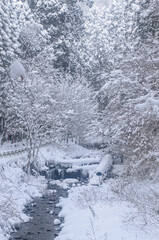 雪の積もった川