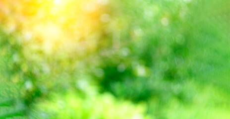 Colorful summer, spring bokeh background. Abstract soft green texture. Green color. Selective focus