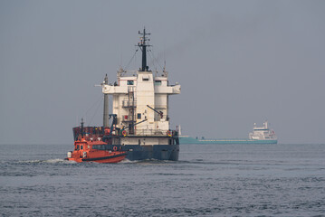 MARITIME TRANSPORT - Pilot boat and freighters in the port roadstead
