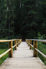 Fototapeta premium wooden bridge in the middle of the forest in the mountains
