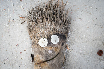 Driftwood Silly Face with Sand Dollar Eyes on a Sandy Florida Beach