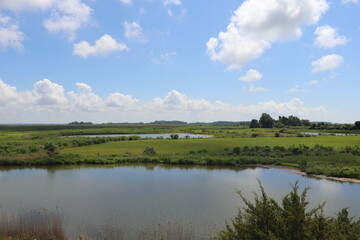 Salt Water Tidal Marsh in Delaware