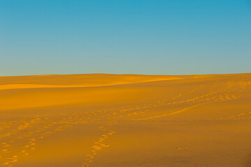 Empty sand dune with blue sky.