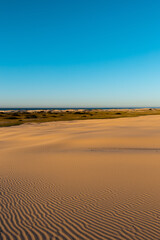 Fototapeta na wymiar Beautiful sand dune view in the morning.