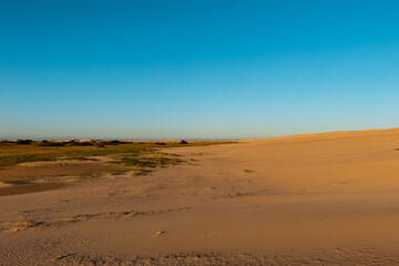 Fototapeta na wymiar Beautiful sand dune view in the morning.