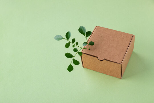 Cardbox from recyclable organic materials with green leaves sprout. Eco friendly packaging, zero waste and plastic free concept.