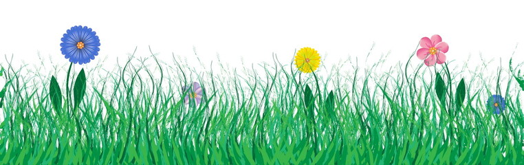 beautiful illustration with green grass and colorful flowers