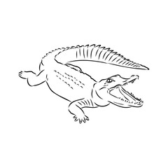 Hand-drawn pencil graphics, crocodile, alligator, croc. Engraving, stencil style. Black and white logo, sign, emblem, symbol. Stamp, seal. Simple illustration. Sketch.