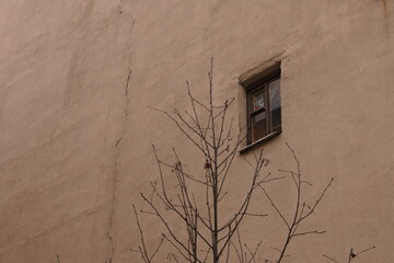 Dismal view of dry wood in front
of an old wall with a window