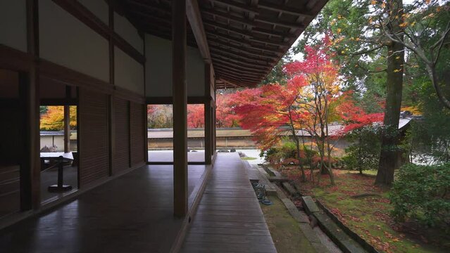 京都　龍安寺の石庭と紅葉
