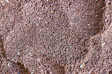 The grains of ground black coffee are very close. Close up groun