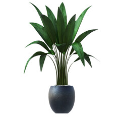 decorative flowers and plants for the interior, isolated on transparent background, 3D illustration, cg render
