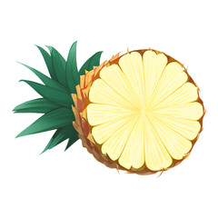 Half Pineapple Isolated Detailed Hand Drawn Painting Illustration