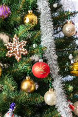 Handmade Christmas cookies. Christmas gingerbread and branch of spruce tree background. Decorative gingerbread hanging on the christmas tree