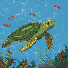 turtle in the sea