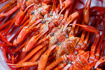 snow crab
red crab
shellfish
