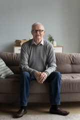 Old senior retired man in glasses and casual clothes sitting on sofa in cozy home interior, looking at camera. Male pensioner, retiree, elderly mature homeowner vertical portrait