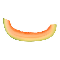 Cantaloupe Melon Slice Isolated Detailed Hand Drawn Painting Illustration