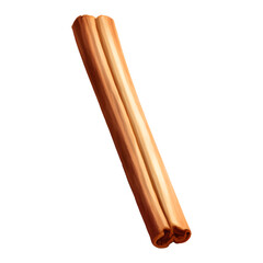 Cinnamon Stick Isolated Detailed Hand Drawn Painting Illustration
