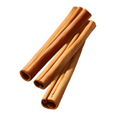 Cinnamon Sticks Isolated Detailed Hand Drawn Painting Illustration