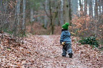 Wald, wandern, Kind, Spaziergang, Junge, kleiner bub, Waldweg
