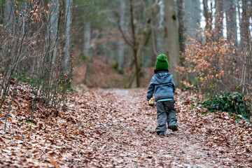 Wald, wandern, Kind, Spaziergang, Junge, kleiner bub, Waldweg
