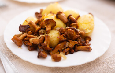delicious forest mushrooms chanterelles with young potatoes fried on white plate