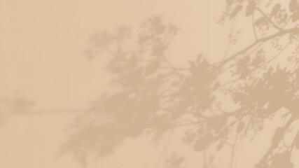 Fototapeta premium beige background with leaf shadow