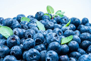 ブルーベリー　ビルベリー　果物