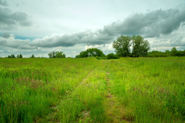 Path through meadow and cloudy sky