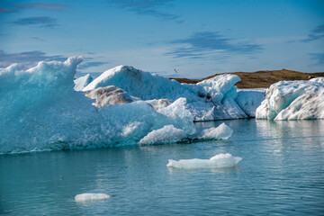 Icebergs in the Jokulsarlon Lagoon in summer season, Iceland